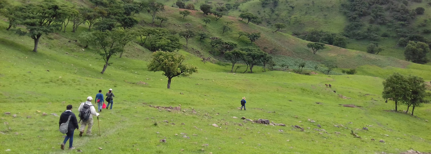 Recorridos de superficie